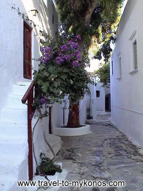 MONI TOURLIANIS - The picturesque paved alley that is leads in the buildings of the monastery.