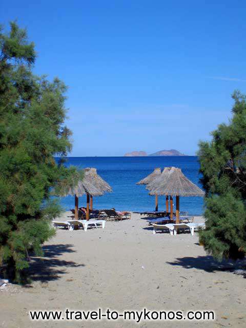 THE BEACH - View of the beach from between the trees