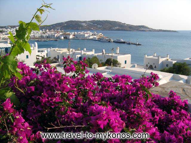 View of Mykonos chora from a room balcony CLICK TO ENLARGE