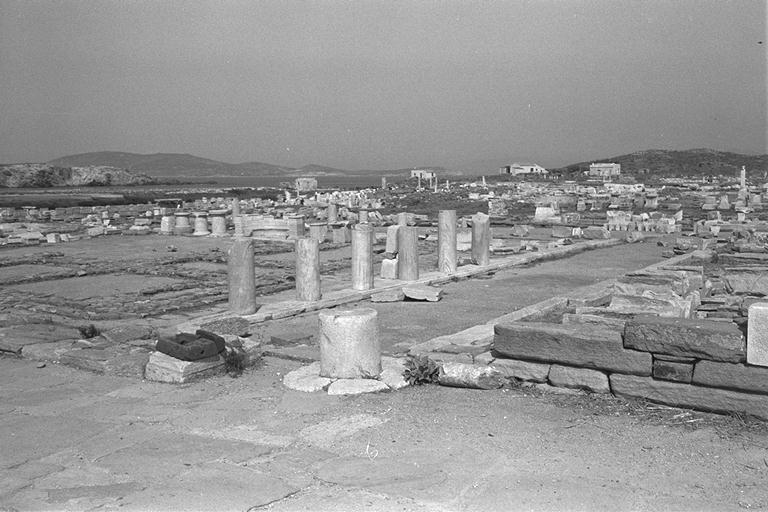 DELOS