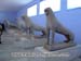 delos-museum8996